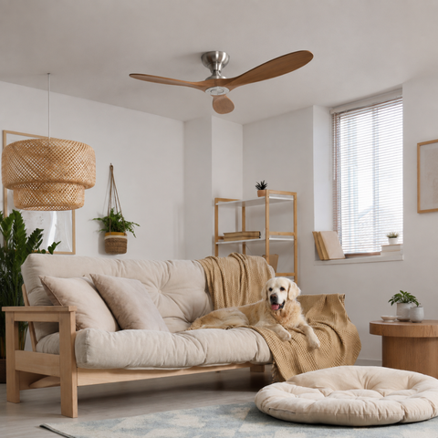 Ventilateur de plafond DC 3 Pales – Nickel Sable (Nuance 2)